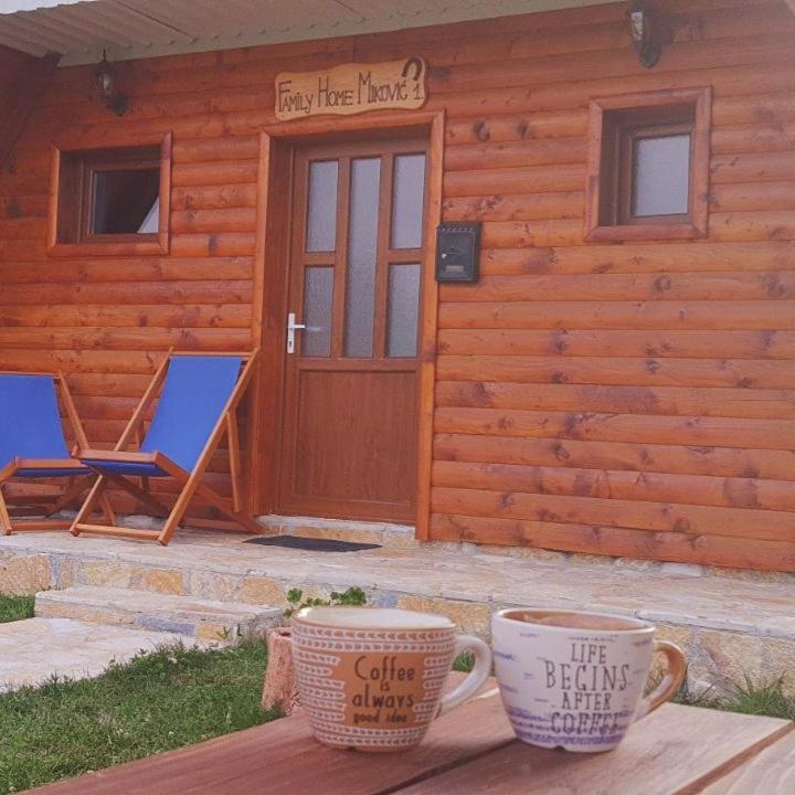 Family Home Mikovic Zabljak  Ngoại thất bức ảnh